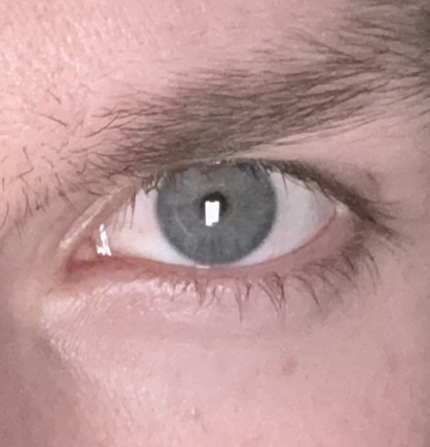 IMG 0548