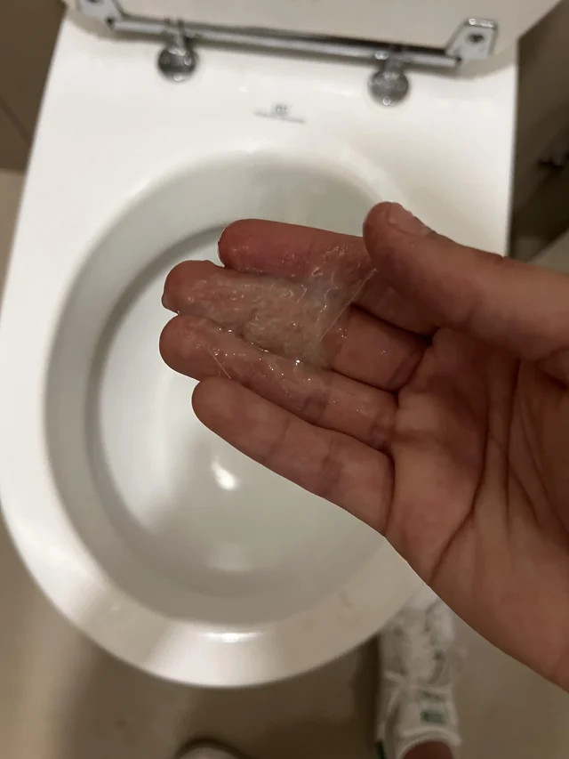 IMG 3490