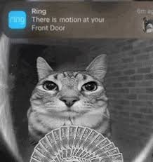 1779219999884
