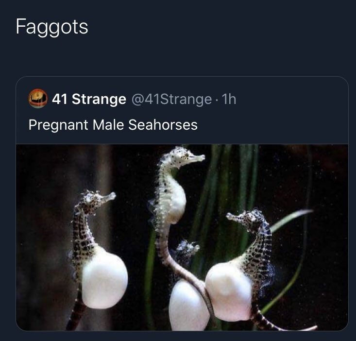 1779244907630