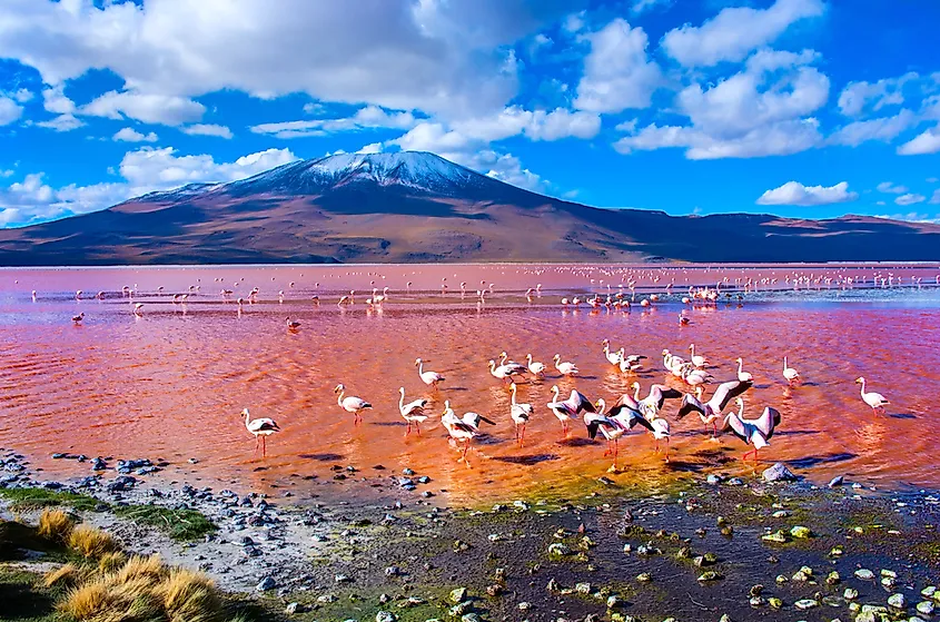 Shutterstock 276872759