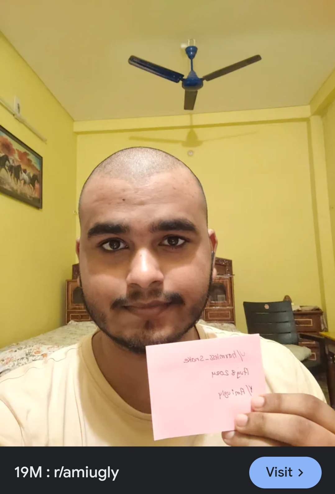 1779283268756