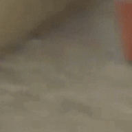Spray