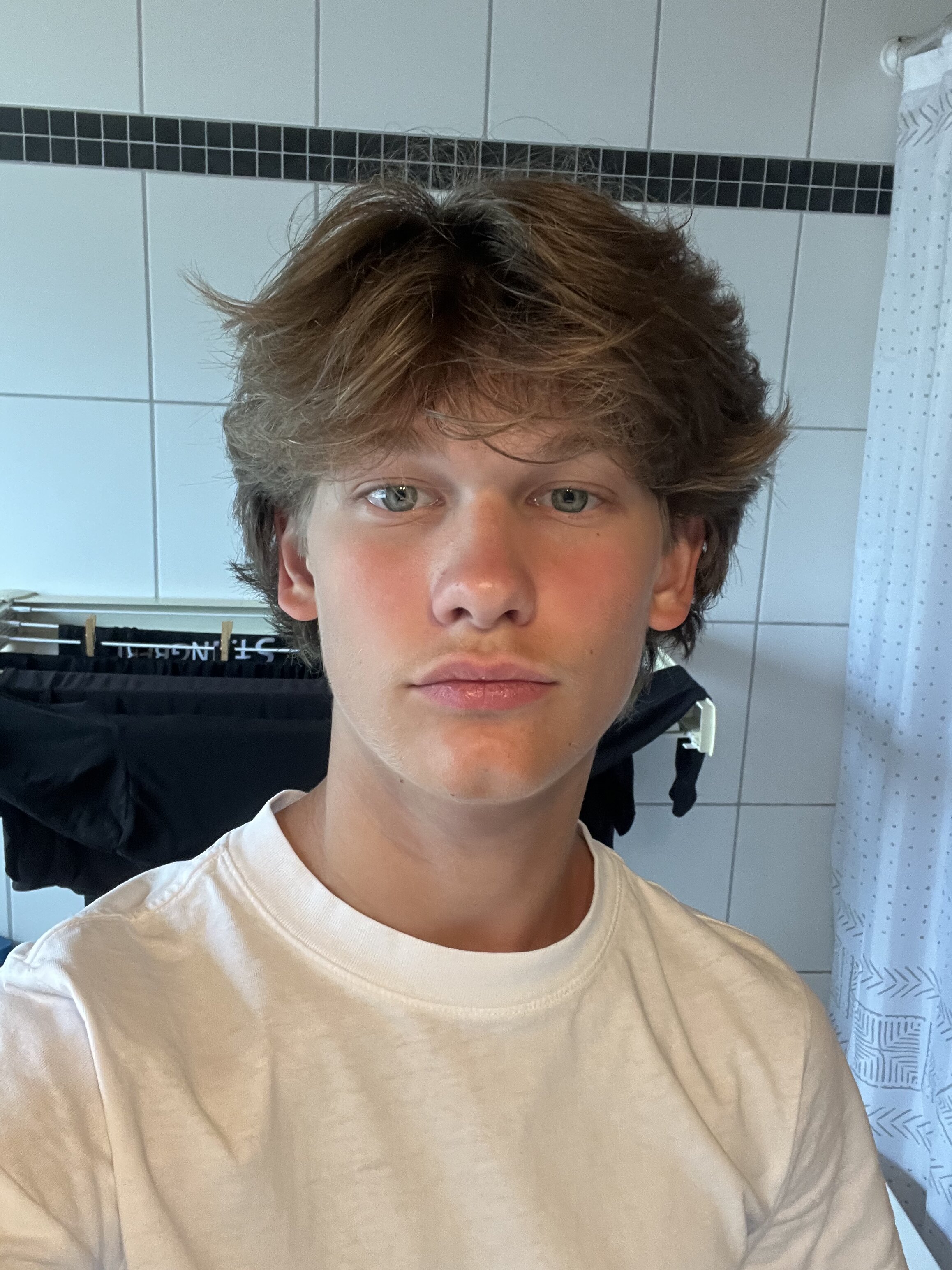 IMG 1312