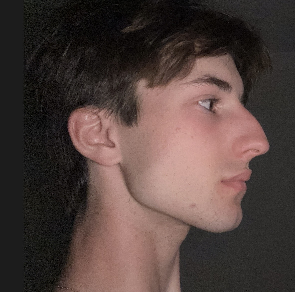 IMG 0525