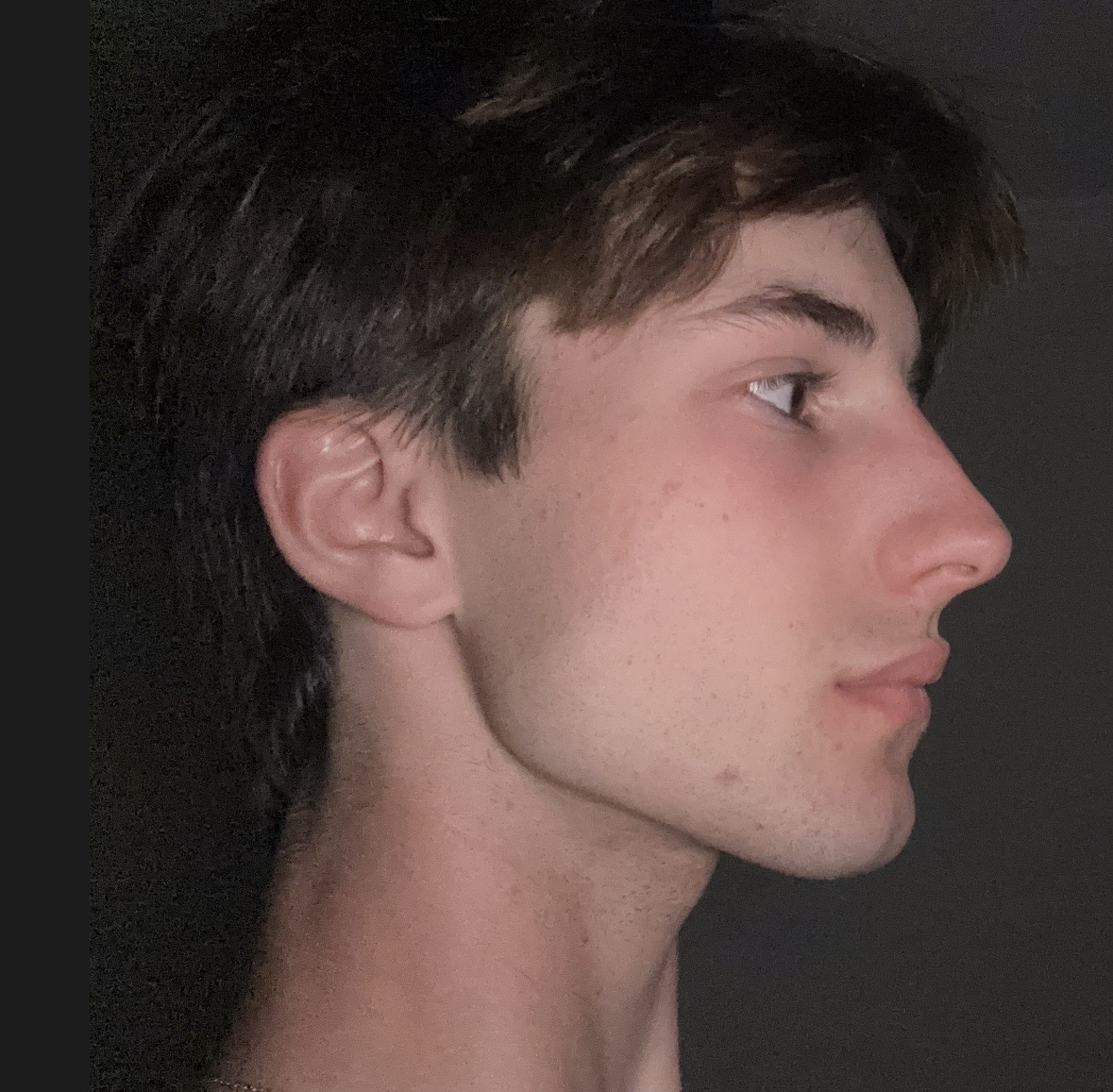 IMG 0524