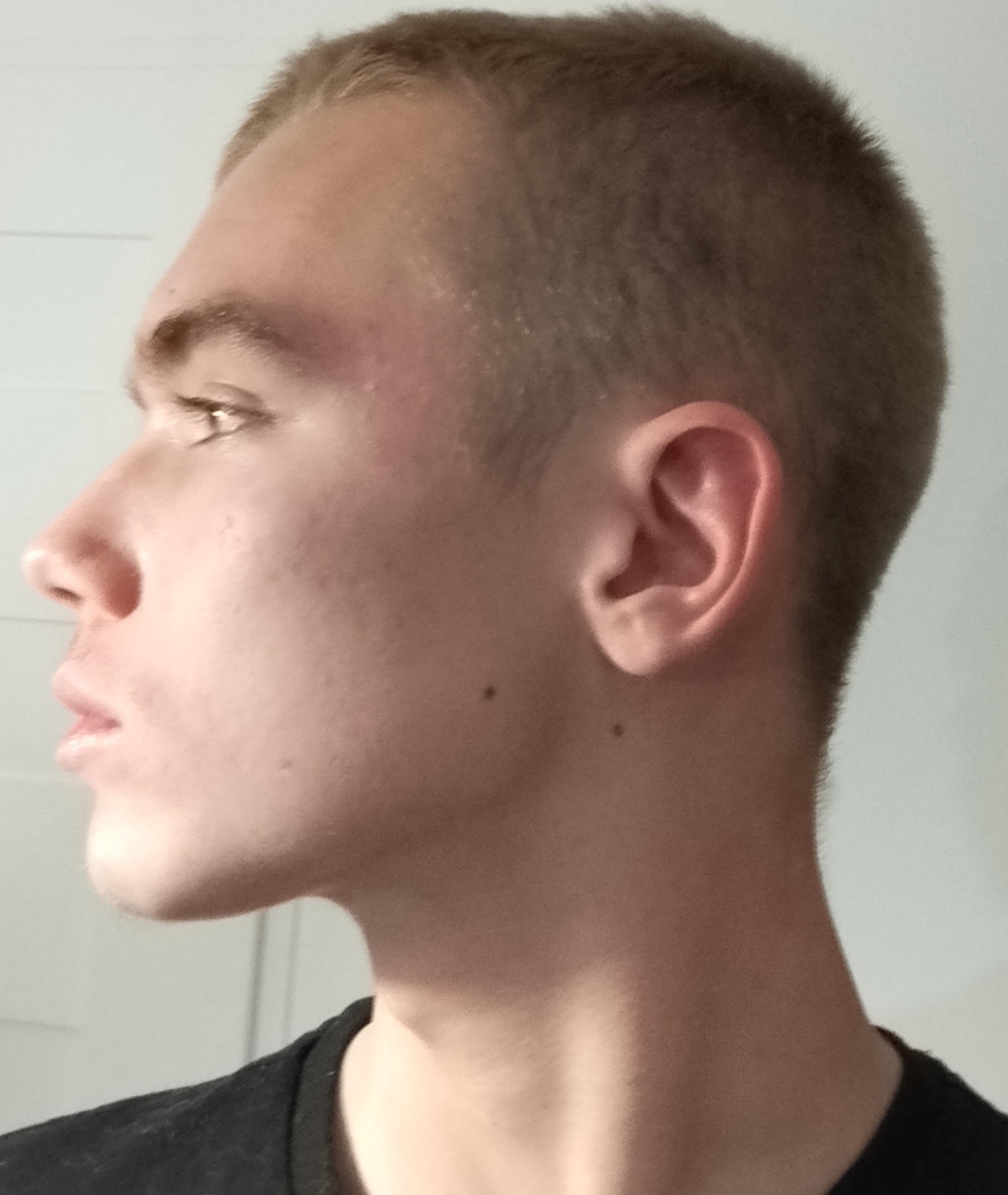 1000005647