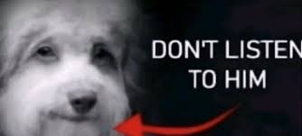 1779385793092