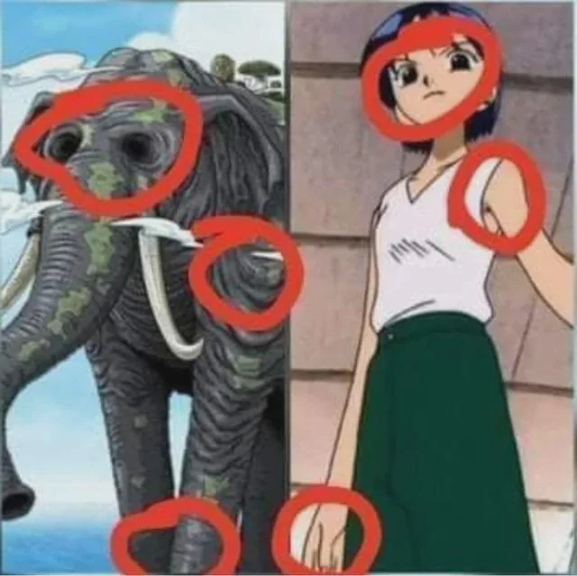 1779388344997