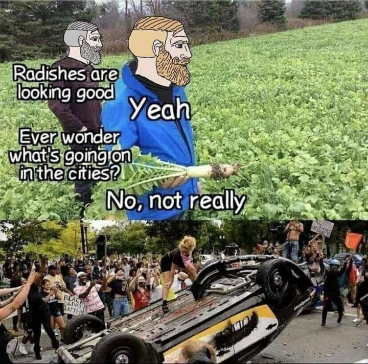 1688290525464693