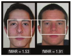 1779446474229