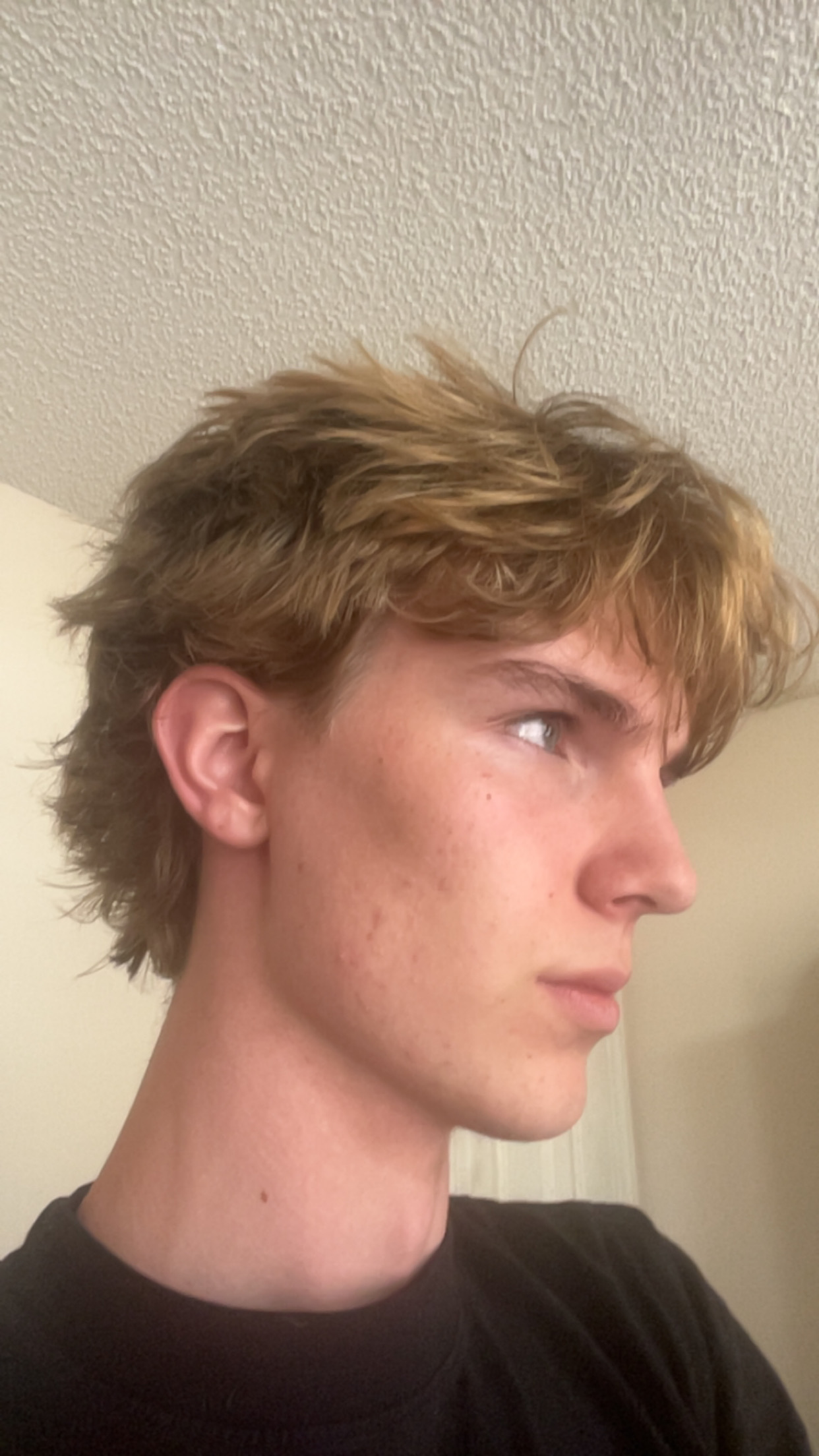 IMG 1322