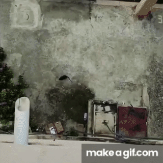 Rat gets crushed by brick