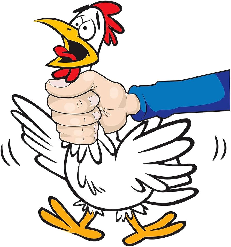 Chicken