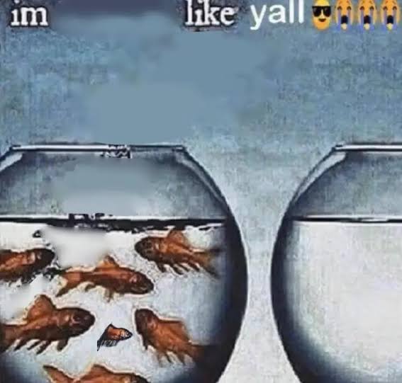 1779546713217