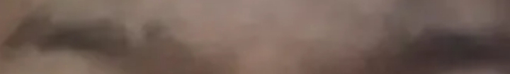 1000011115