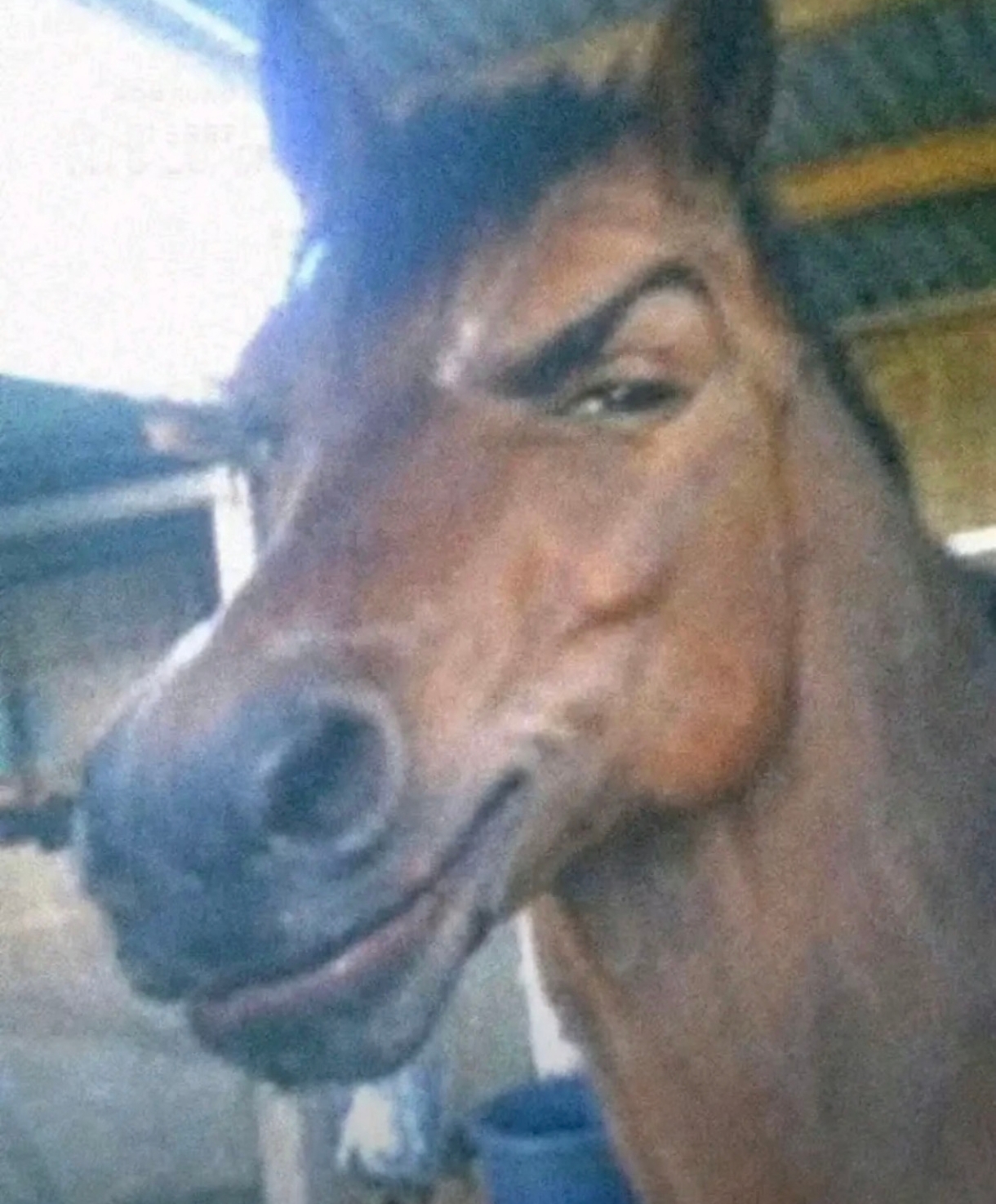 44788