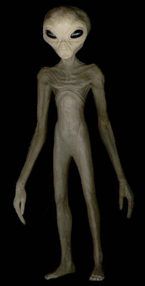 1000171260