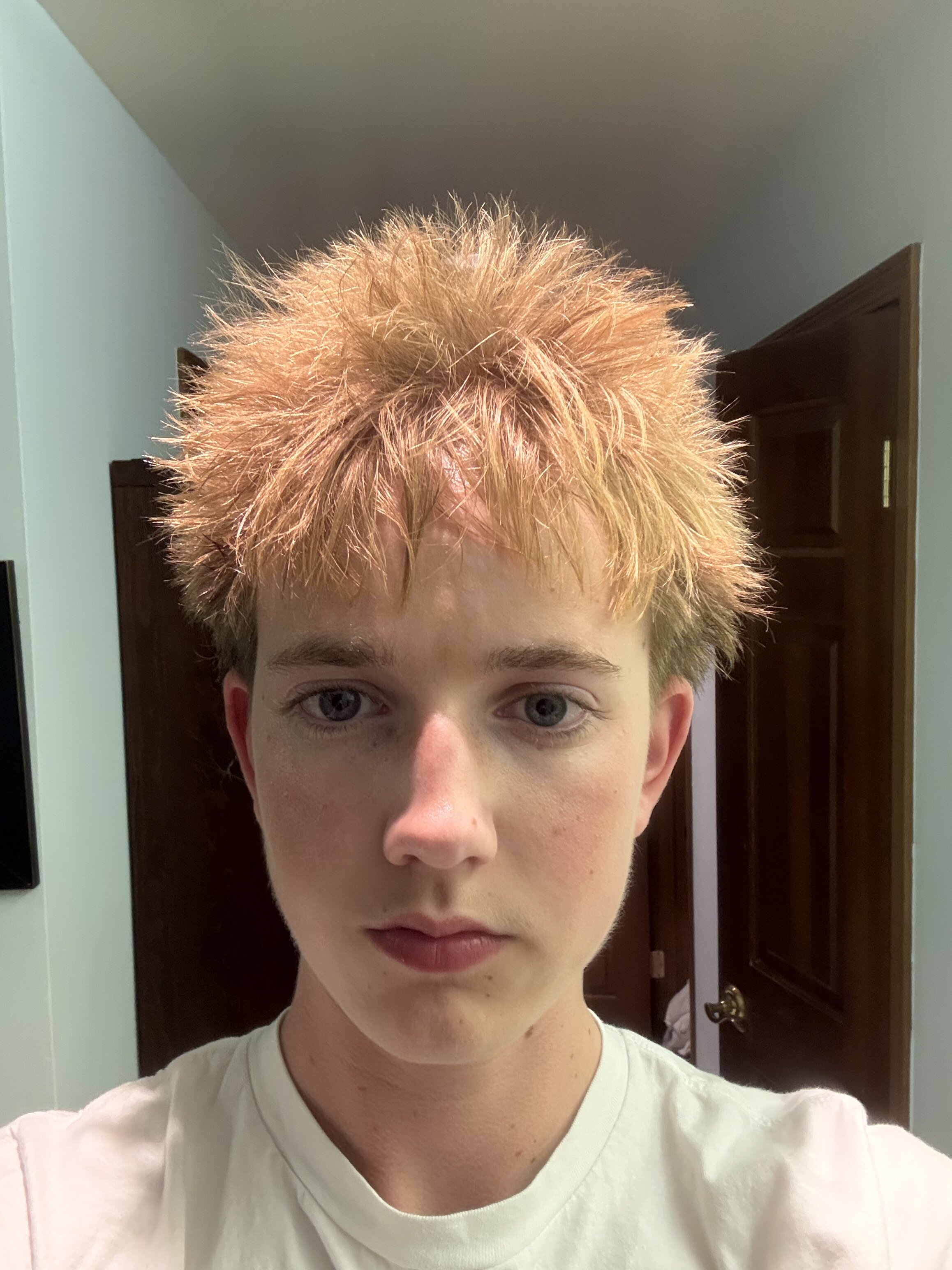 IMG 2344