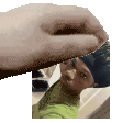 IMG 0703