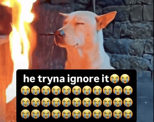 1779594786651