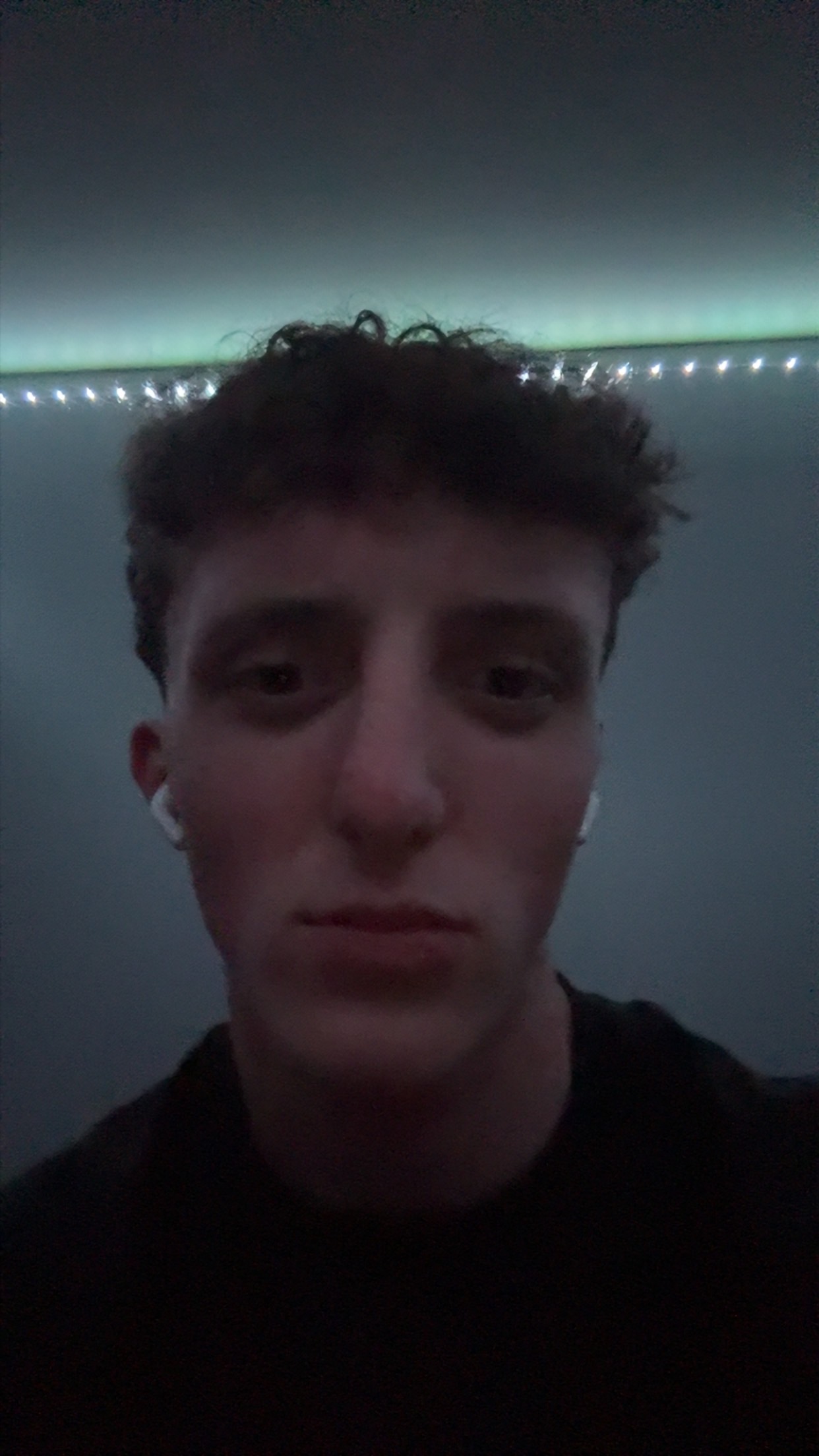 IMG 1061