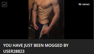 1779601495572