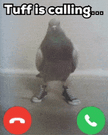 1000094870