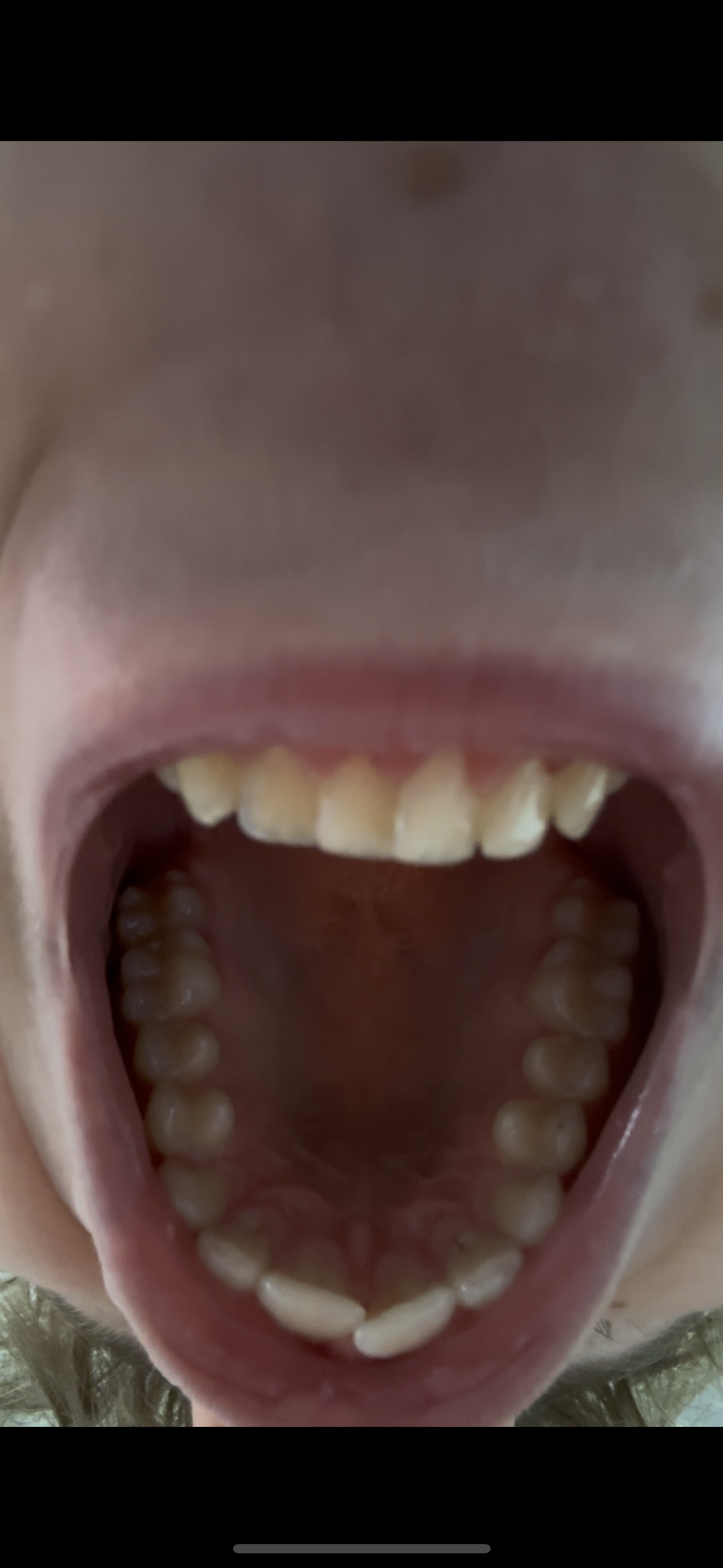 IMG 7235