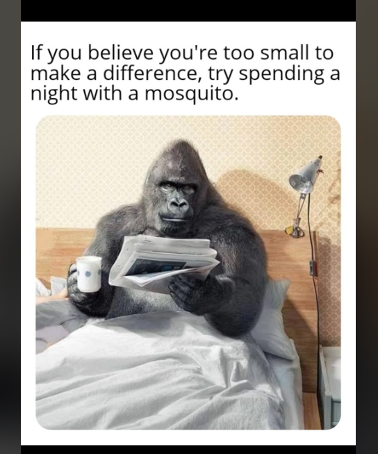 Screenshot 2024 12 15 140504