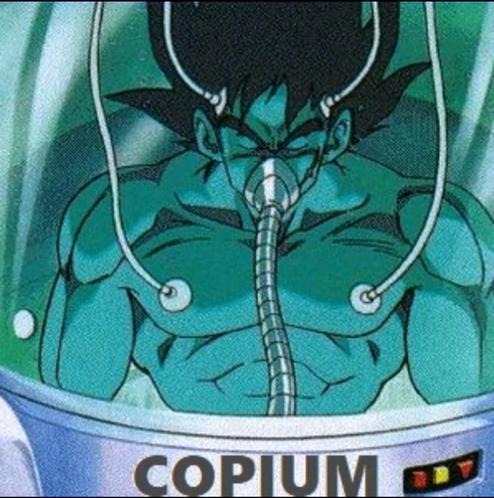 1779681654405