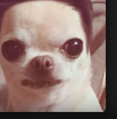 1779714338152