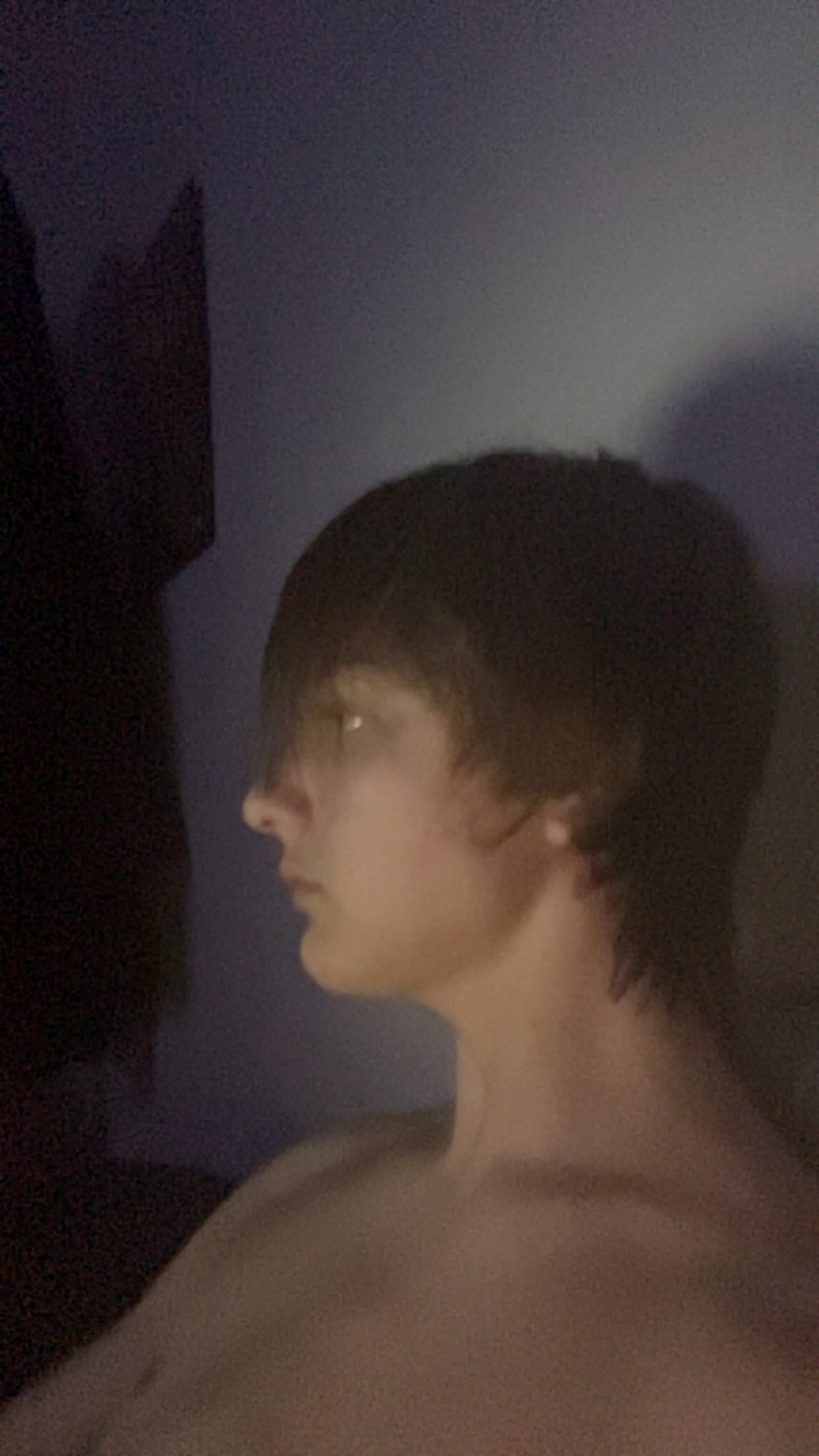 IMG 2356