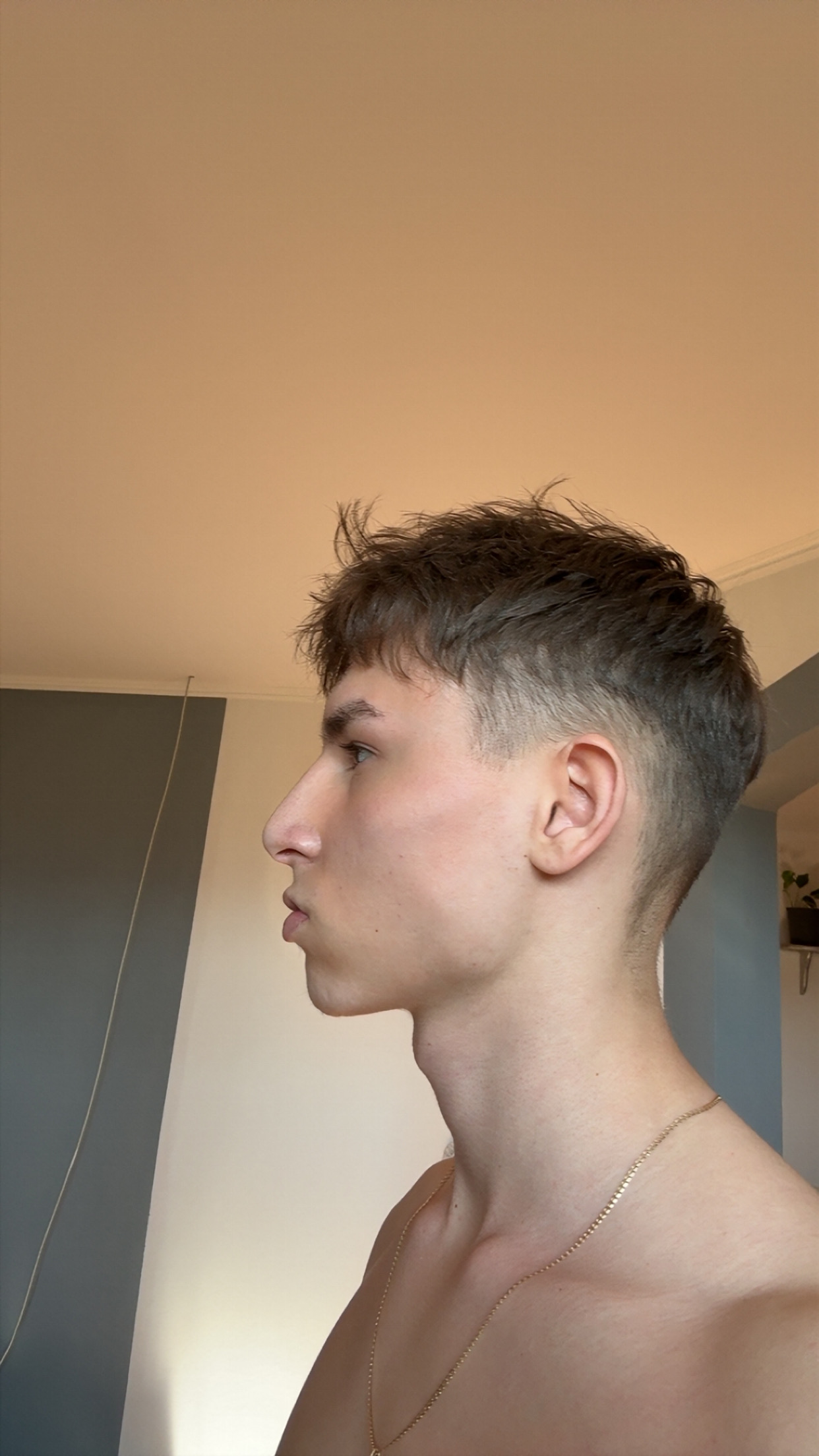 IMG 2427