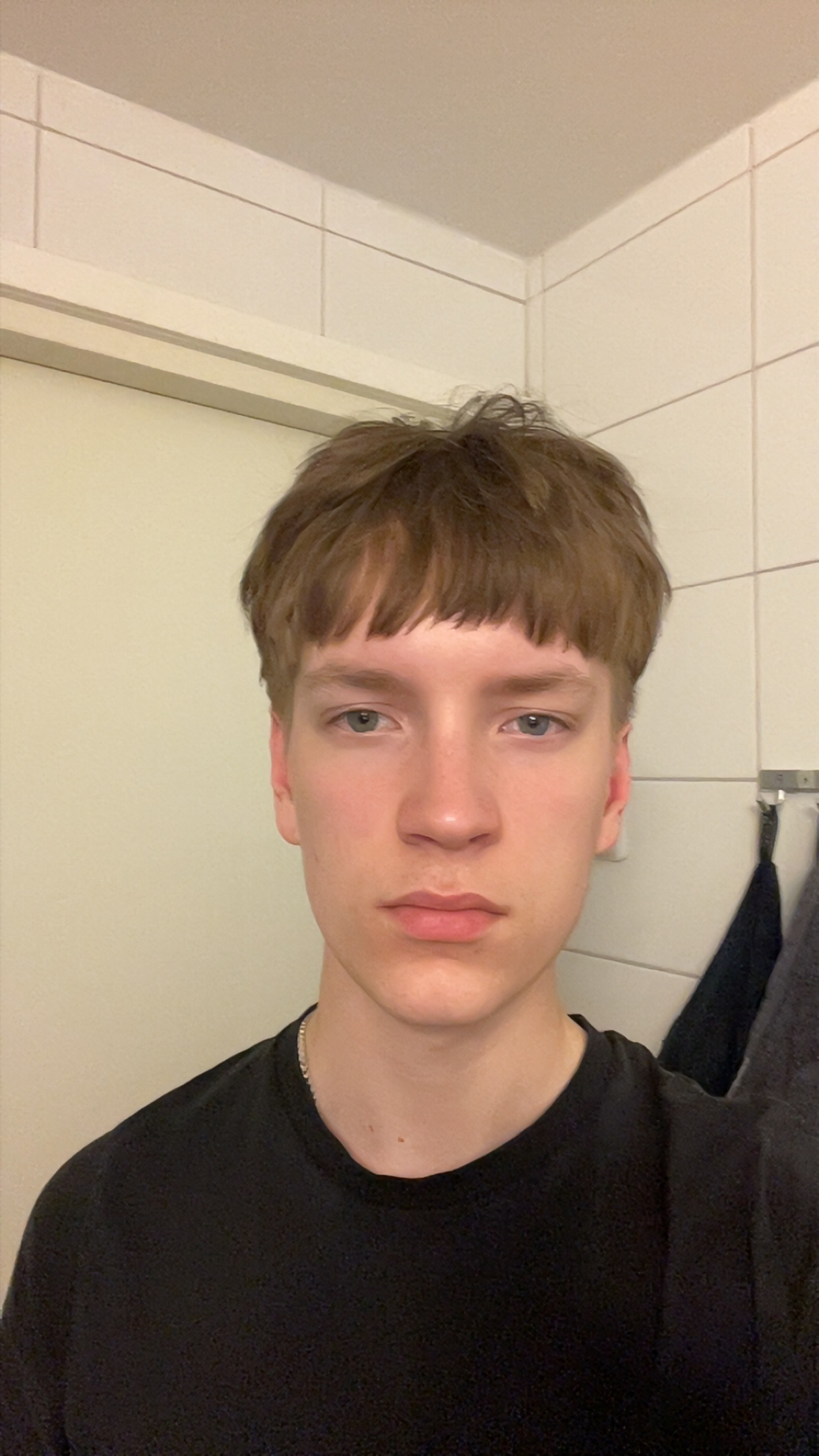 IMG 3531