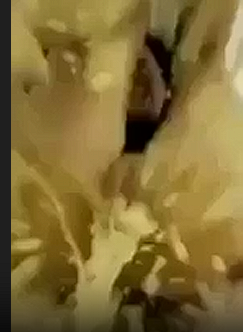 Screenshot 2026 05 26 205529