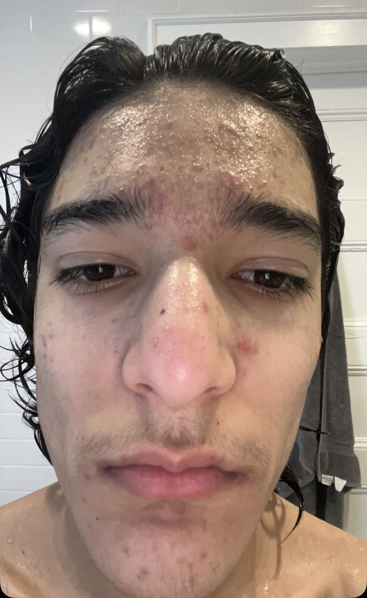 IMG 0220
