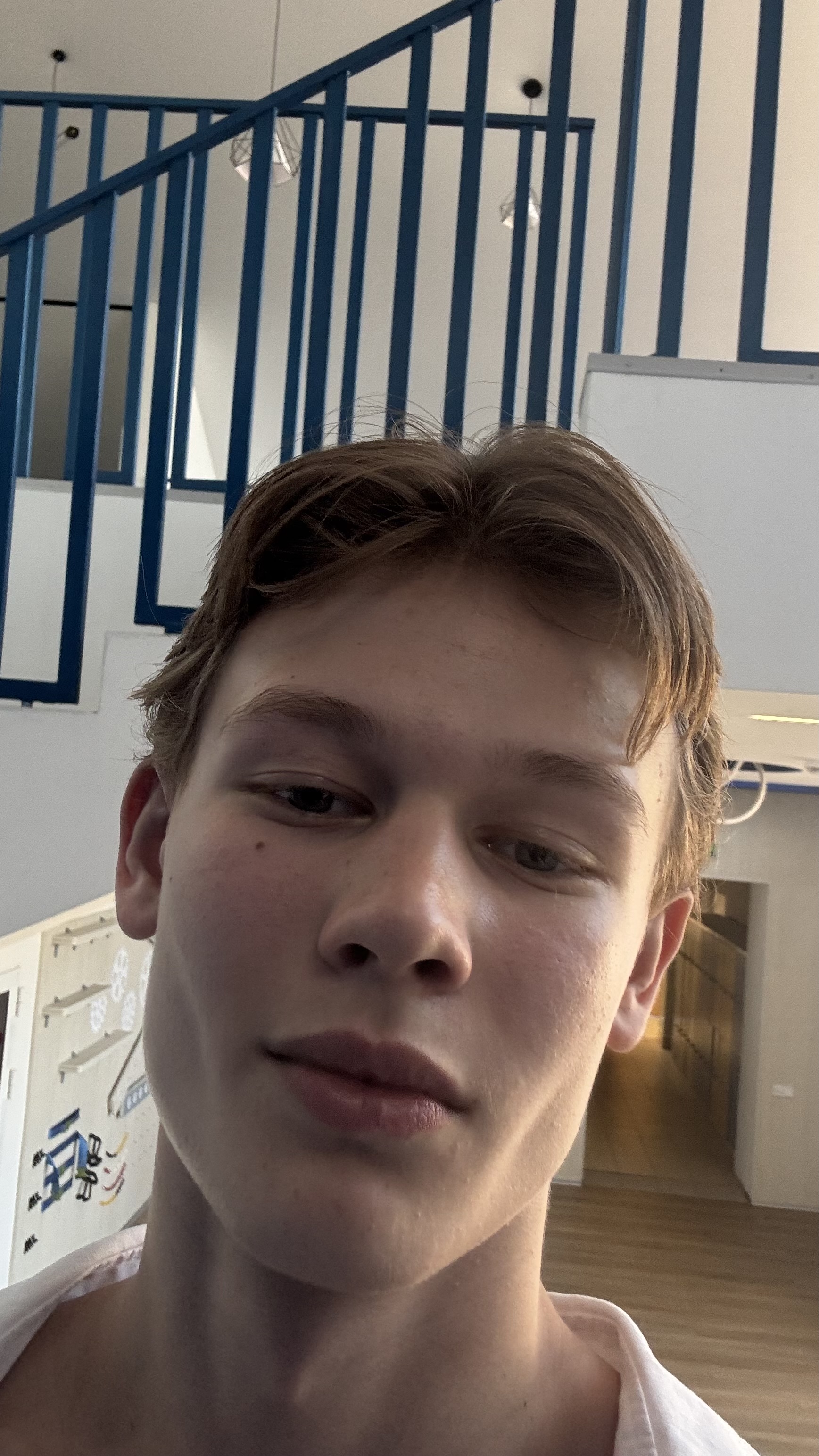IMG 0298