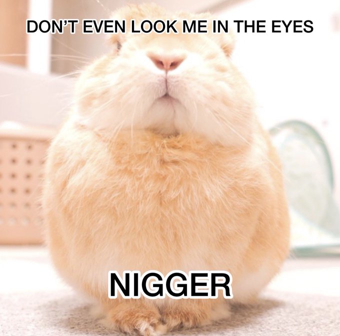Dont even look me in the eyes