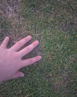 1780000147836