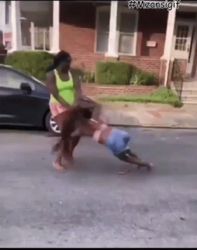 Girl fight