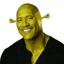 Shrek face shrek meme