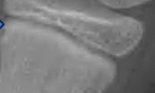 1780086312731