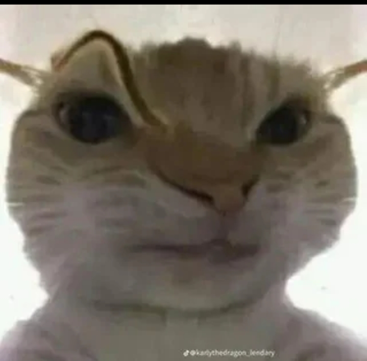 1000095879