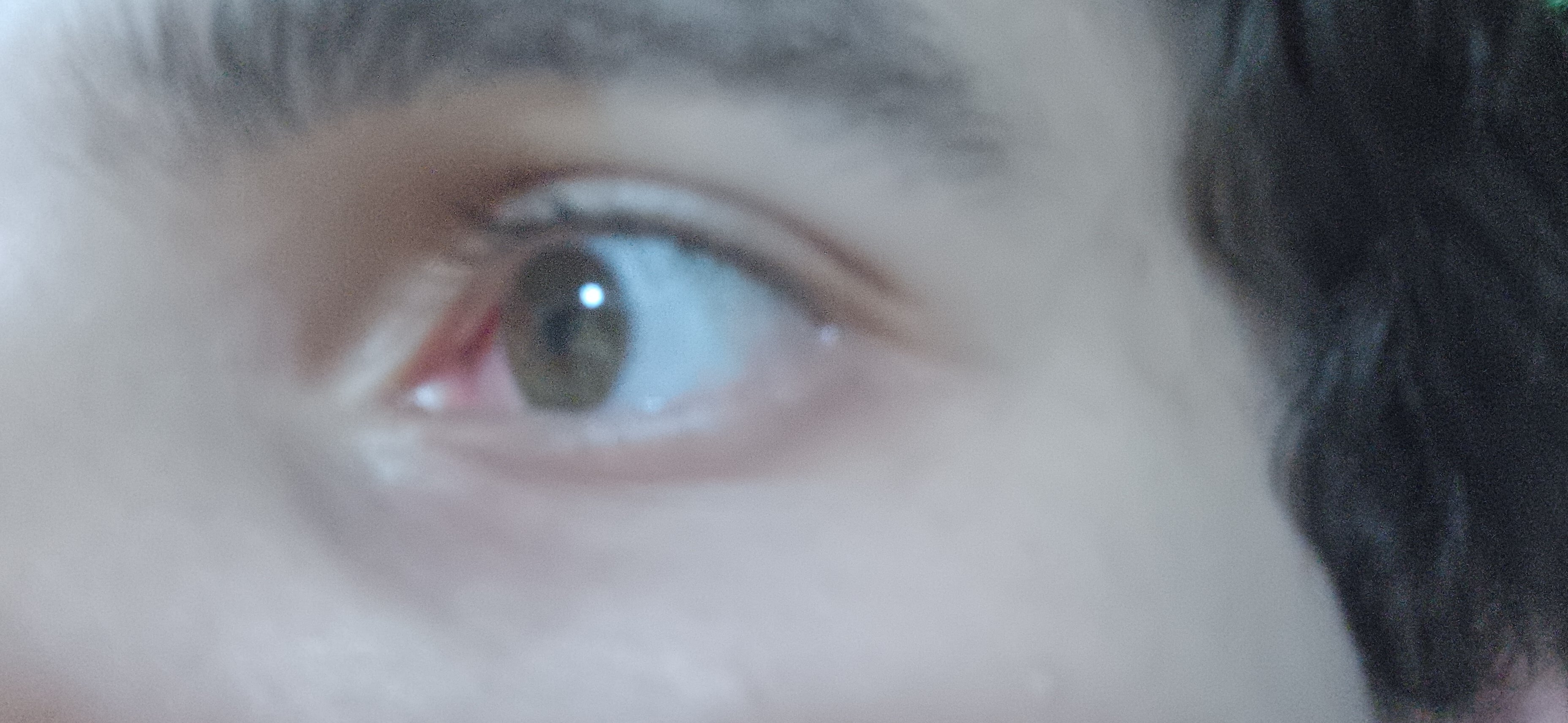 1000049627