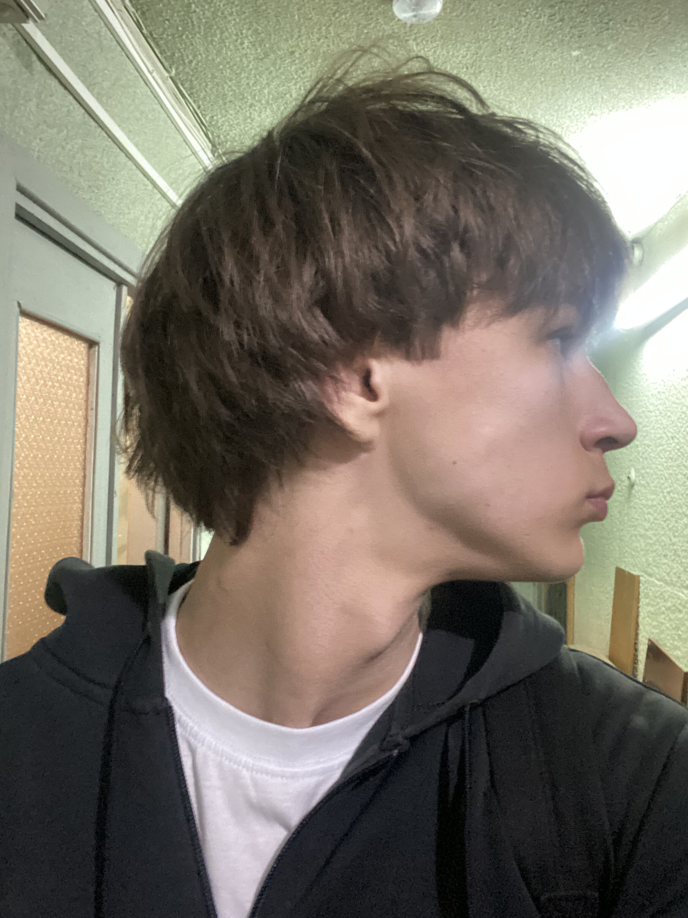 IMG 3378