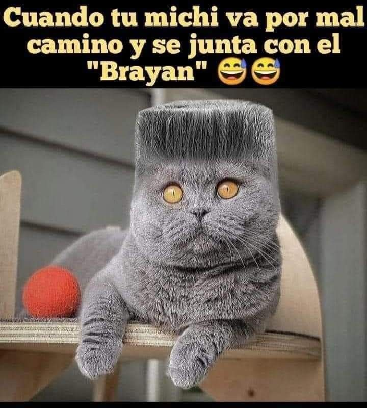 1780136738038
