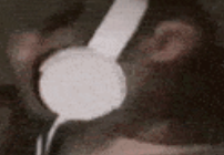1780145534802