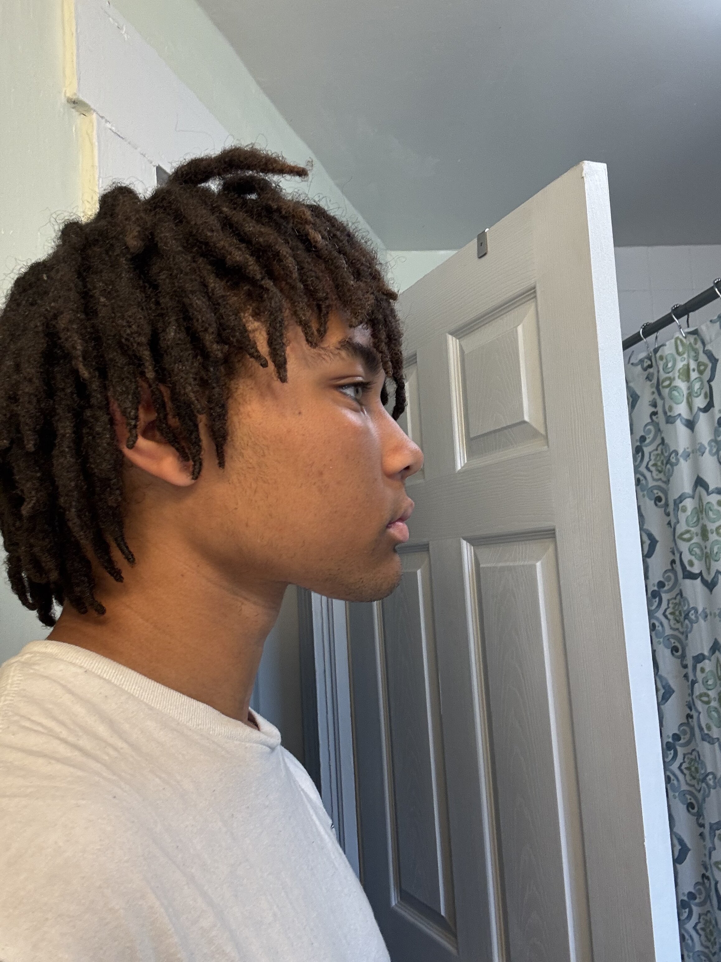 IMG 0239