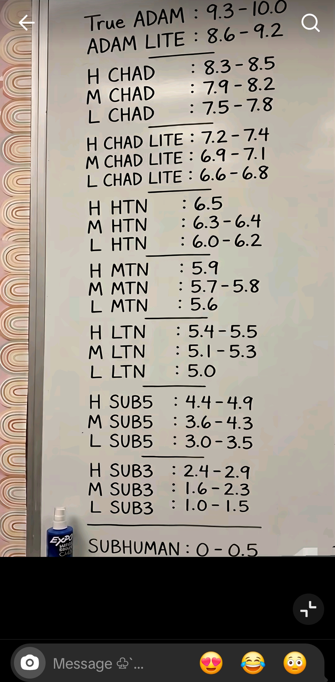 1000033800